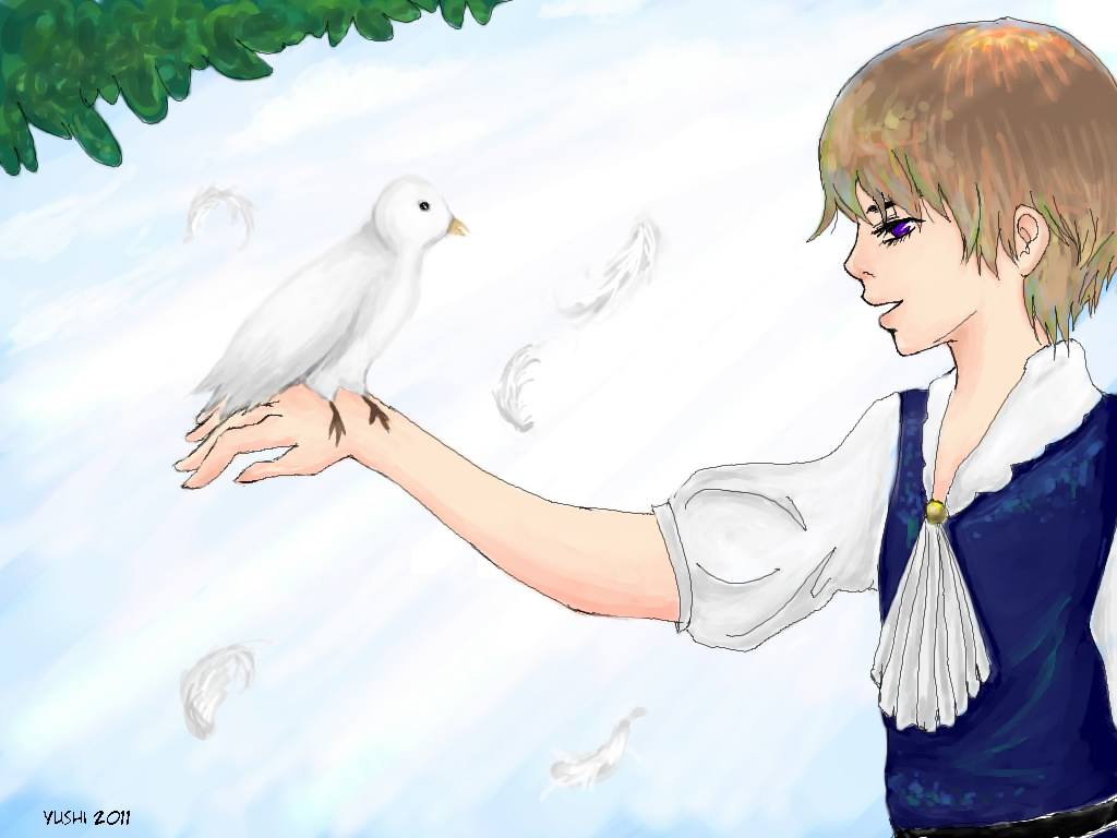 少年與白鴿