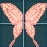 粉紅光 蝴蝶 翅膀 永久連結