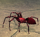 紅蜘蛛 怪物永久連結
