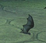 蝙蝠 怪物永久連結