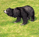 小黑灰熊 怪物永久連結