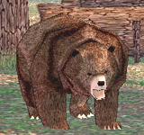 棕灰熊 怪物永久連結