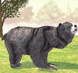 黑灰熊 怪物永久連結