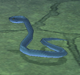 青蛇 怪物永久連結
