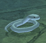 白蛇 怪物永久連結