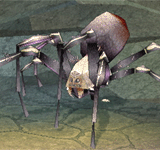 巨大白蜘蛛 怪物永久連結