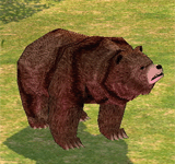 棕熊 怪物永久連結