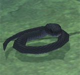 黑蛇 怪物永久連結
