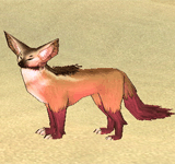紅腳沙漠狐狸 怪物永久連結