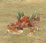 仙人掌蜥蜴(身份不明的稱號) 怪物永久連結