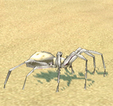 白色沙漠蜘蛛 怪物永久連結
