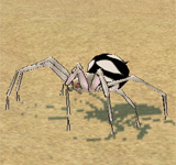 白色斑點沙漠蜘蛛 怪物永久連結
