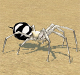 白色條紋沙漠蜘蛛 怪物永久連結