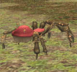 紅色森林蘑菇蜘蛛 怪物永久連結