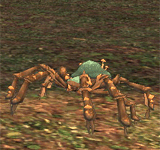 藍色森林蘑菇蜘蛛 怪物永久連結