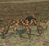 黑色森林蘑菇蜘蛛 怪物永久連結