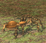 棕色森林蘑菇蜘蛛 怪物永久連結
