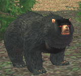 幼小黑色半月熊 怪物永久連結