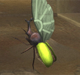 小翡翠甲蟲 怪物永久連結