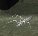 白色螞蟻鬼魂 怪物永久連結