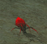 紅色螞蟻鬼魂 怪物永久連結