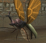 黃寶石甲蟲 怪物永久連結