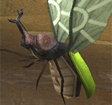 翡翠甲蟲 怪物永久連結