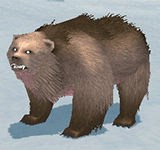 褐色雪原熊 怪物永久連結