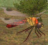 巨大蜻蜓(紅) 怪物永久連結