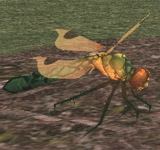 蜻蜓 怪物永久連結