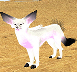 白色沙漠狐狸 怪物永久連結