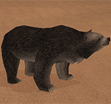 黑色沙漠熊 怪物永久連結