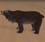 赤褐色沙漠熊 怪物永久連結