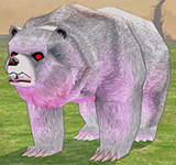 白灰熊 怪物永久連結