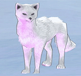 白色菲西斯狐狸 怪物永久連結