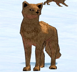 褐色菲西斯狐狸 怪物永久連結