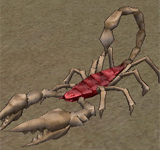紅色沙漠蠍子 怪物永久連結