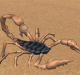 藍色沙漠蠍子 怪物永久連結