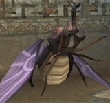 紫水晶甲蟲 怪物永久連結