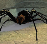 巨大黑蜘蛛 怪物永久連結
