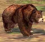 棕熊(迷你) 怪物永久連結