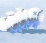 冰雪地蟲(青綠) 怪物永久連結