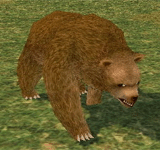 叢林熊 怪物永久連結