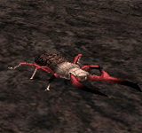 甲殼蟲(紅) 怪物永久連結
