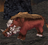 火山犄角野豬 怪物永久連結