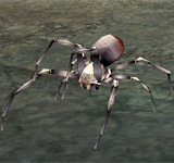 (困難)白色小蜘蛛 怪物永久連結
