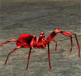 (困難)紅蜘蛛 怪物永久連結