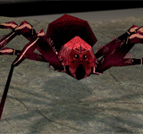 (困難)巨大蜘蛛 怪物永久連結