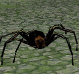 (困難)黑蜘蛛 怪物永久連結