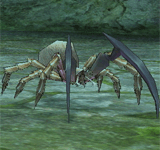 (困難)鐮刀劇毒蜘蛛 怪物永久連結